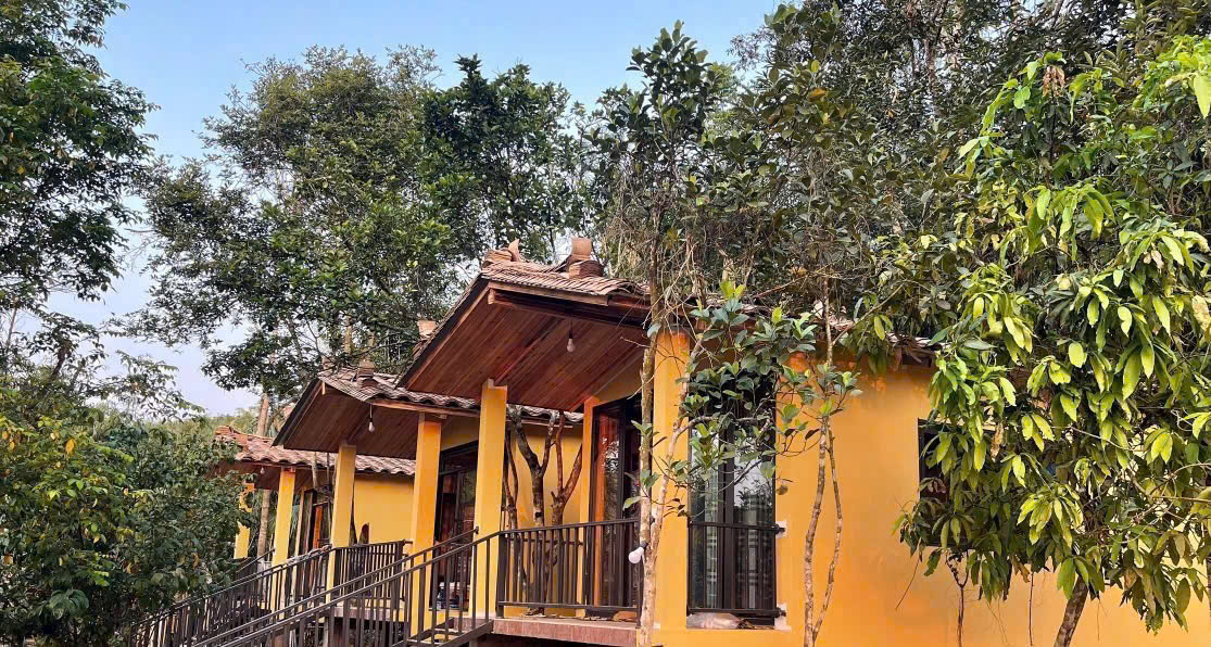 Home Quế Cọ — 2