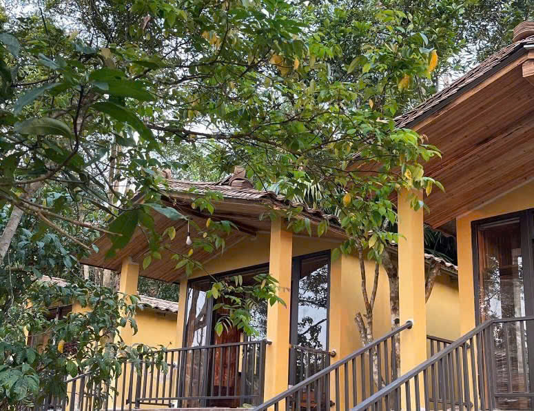 Home Quế Cọ — 3