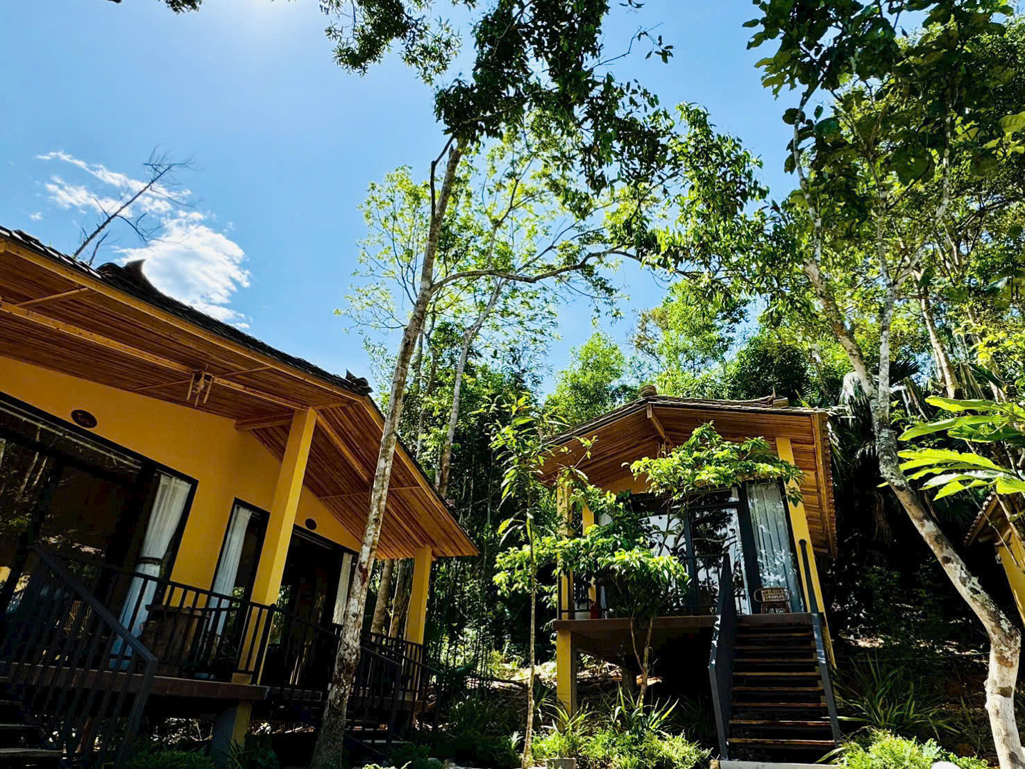 Home Quế Cọ — 7