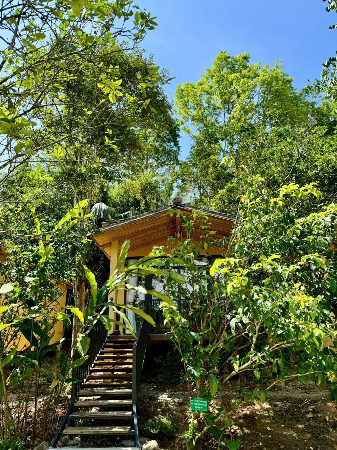 Home Quế Cọ — 8