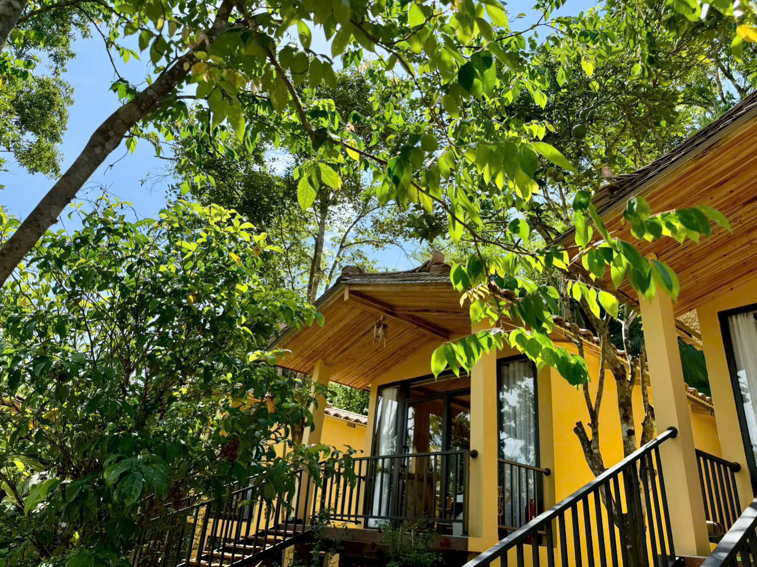 Home Quế Cọ — 9